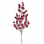 BERRY STEM RD 61CM