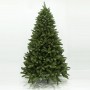 IMPERIAL FIR, 240CM